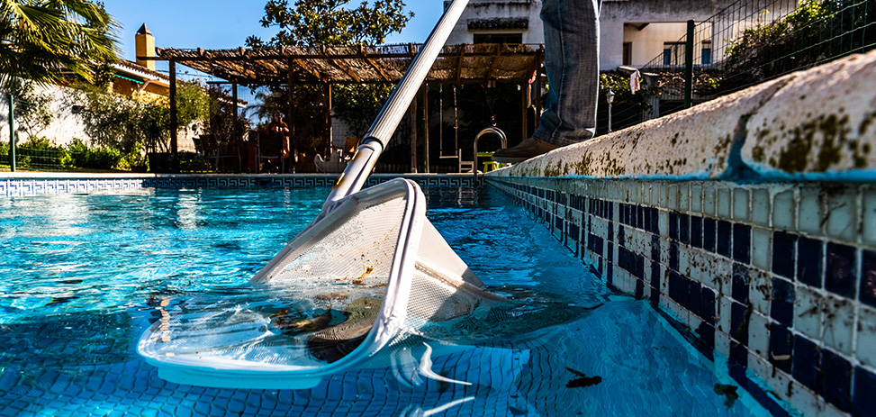 pool-net-leaf-skimmer.jpg